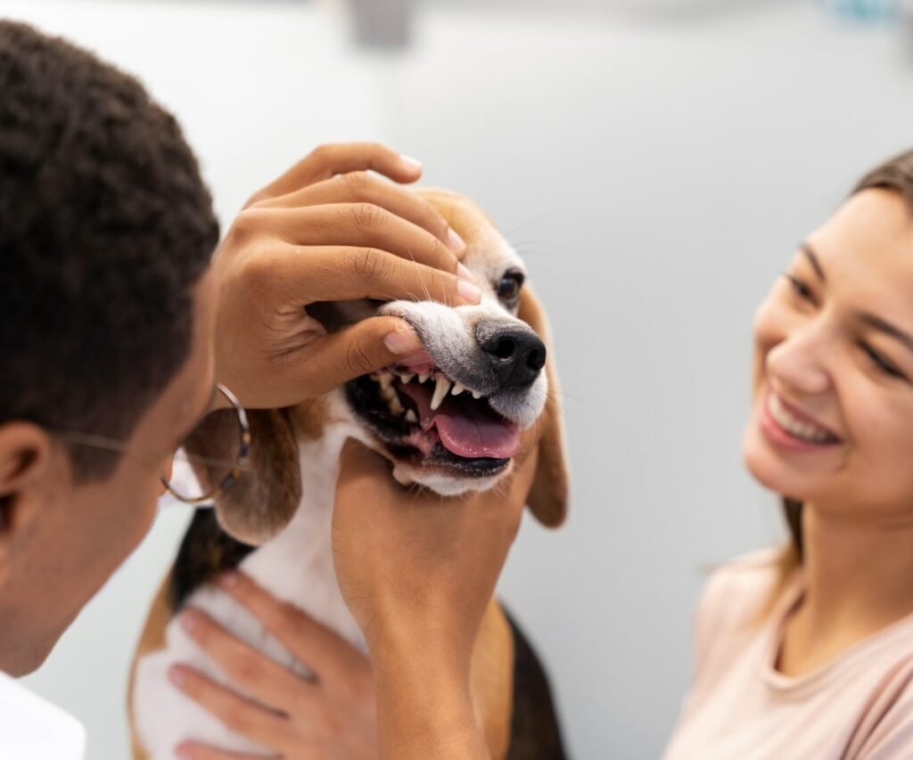 Pet Nutrition service