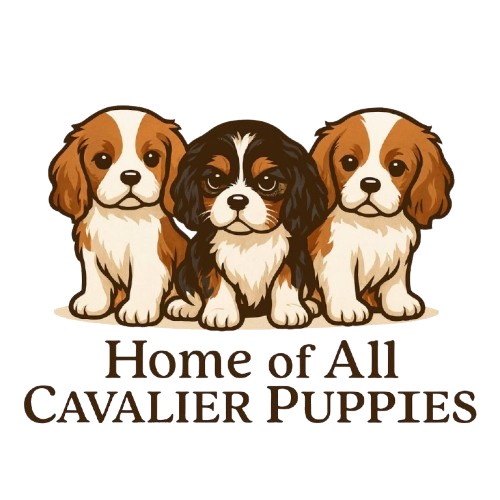 Home Of All Cavalier Puppies