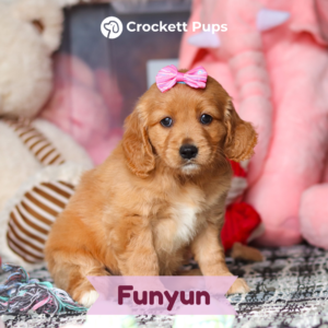 funyun