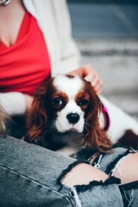pexels daka 12180874